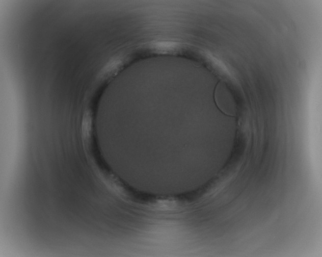 X0000113160744200909111014