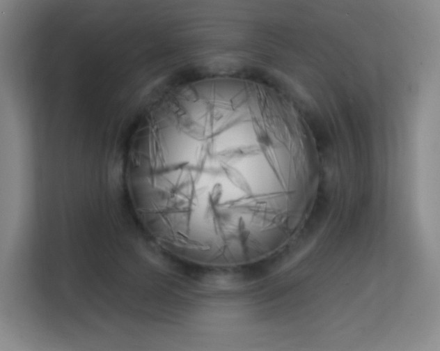 X0000113160745200909111014