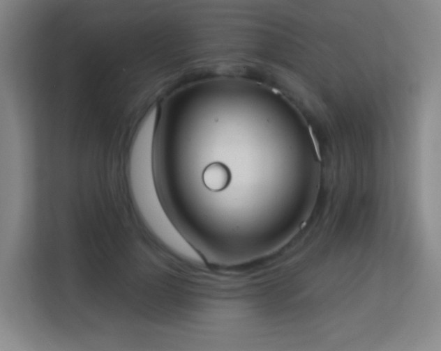 X0000113160748200909111014