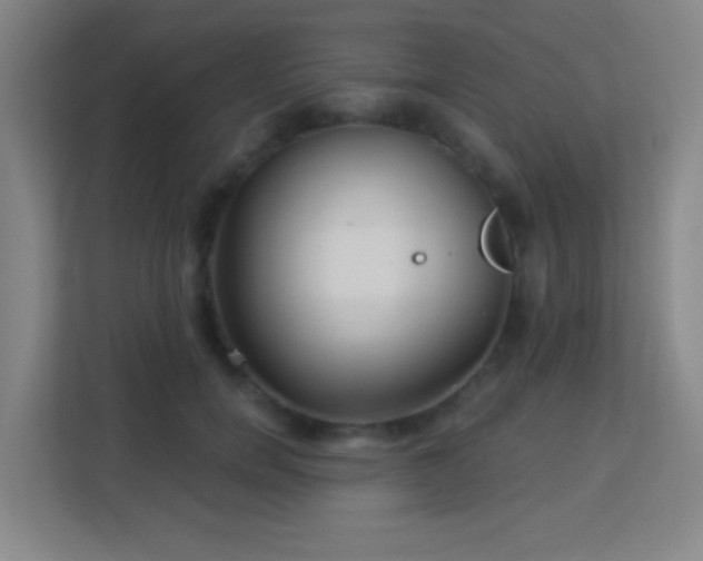 X0000113160750200909111014