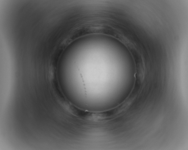 X0000113160758200909111014