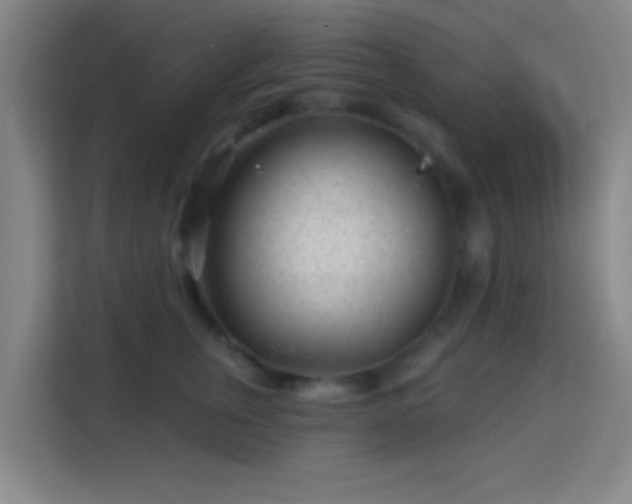 X0000113160759200909111014