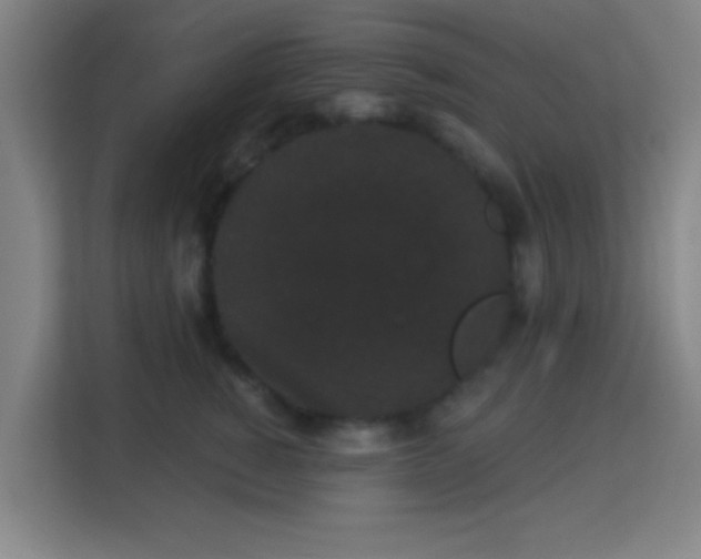 X0000113160760200909111014