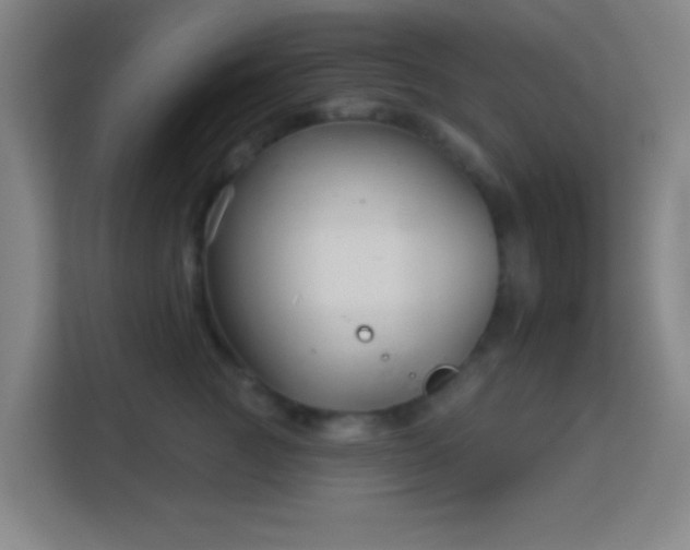 X0000113160761200909111014