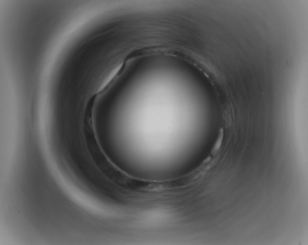 X0000113160764200909111014