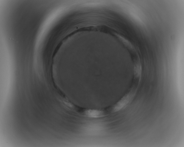 X0000113160766200909111014