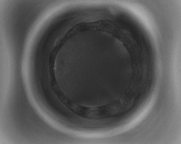 X0000113160767200909111014