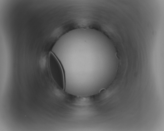 X0000113160768200909111014