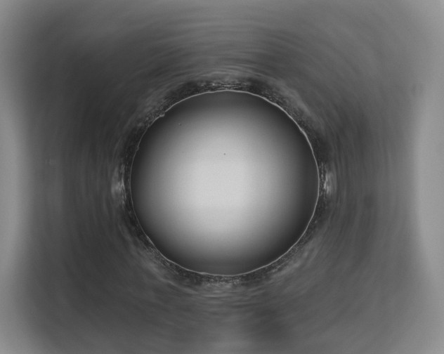 X0000113160771200909111014