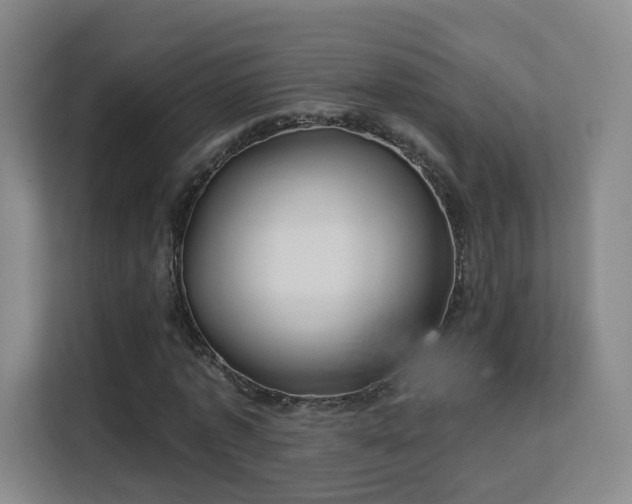 X0000113160773200909111014