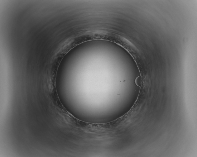 X0000113160774200909111014