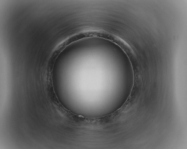 X0000113160775200909111014