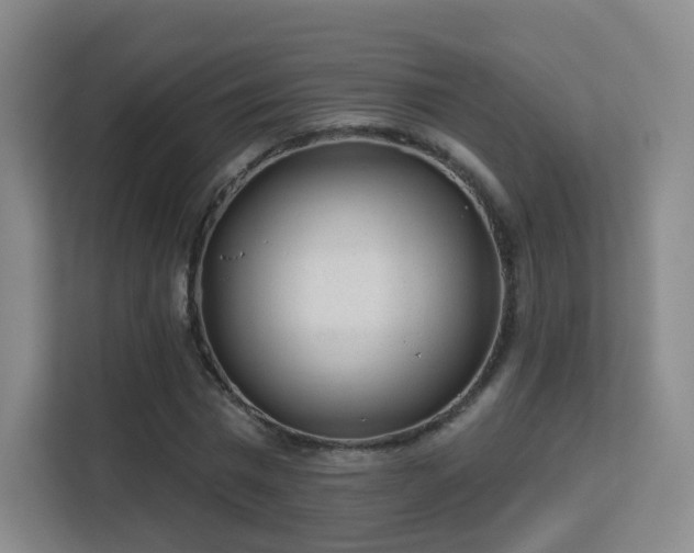 X0000113160777200909111014