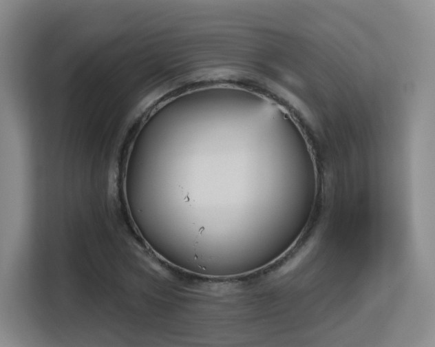 X0000113160778200909111014