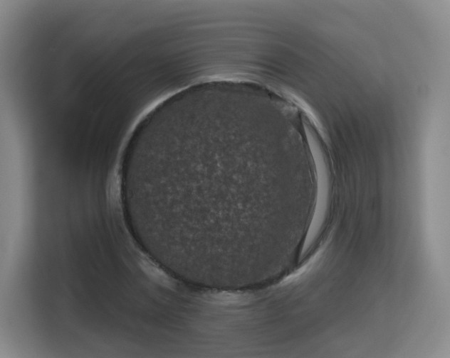 X0000113160779200909111013