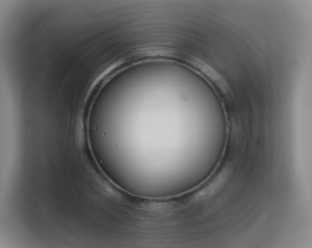 X0000113160782200909111013