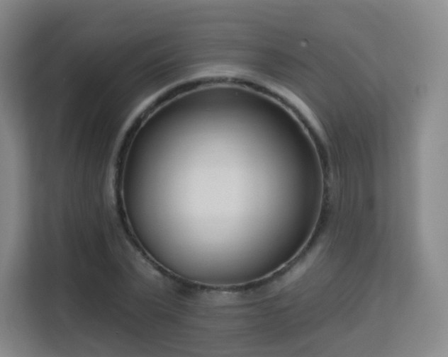 X0000113160783200909111013