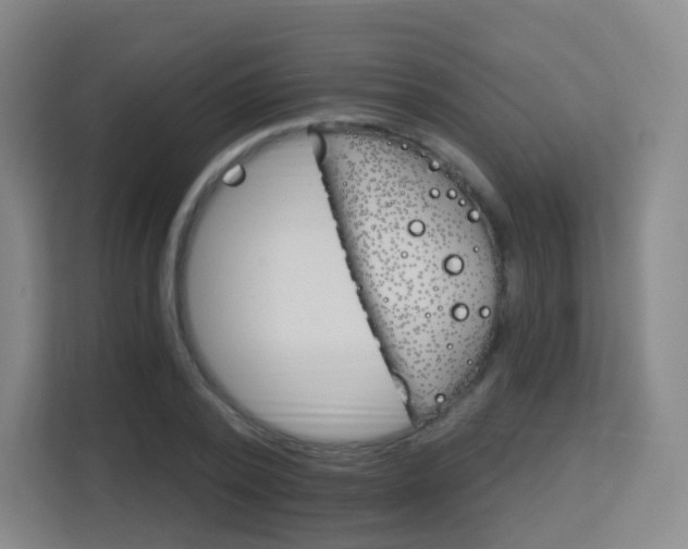 X0000113160784200909111013