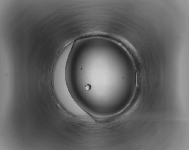 X0000113160785200909111013