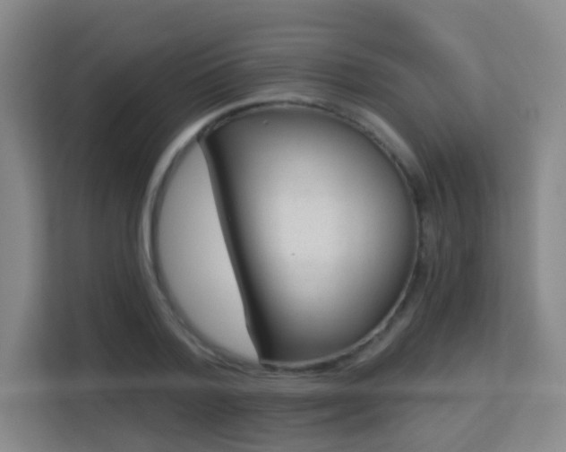 X0000113160788200909111013