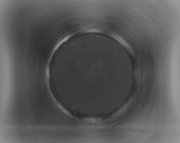 X0000113160790200909111013