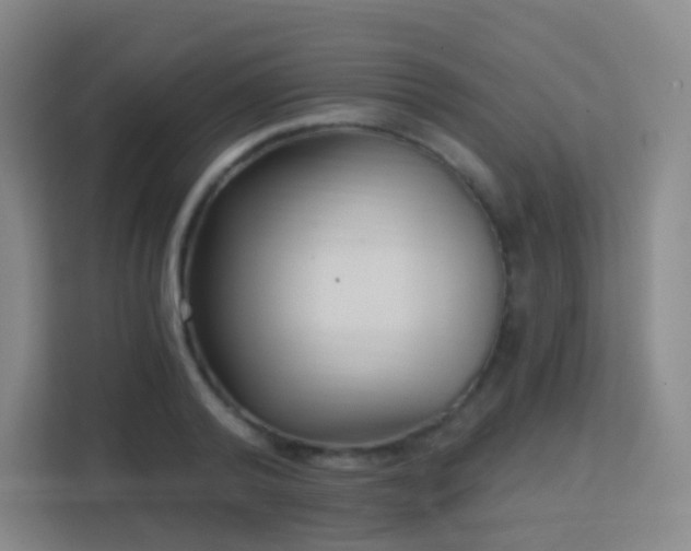 X0000113160792200909111013