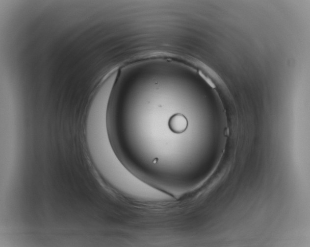 X0000113160793200909111013