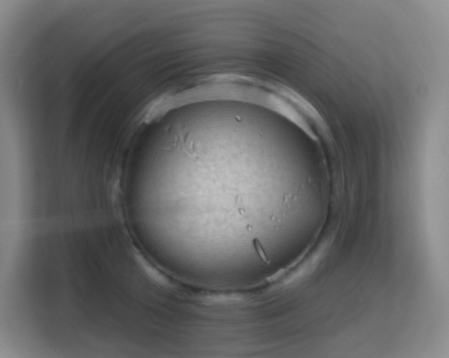 X0000113160801200909111013