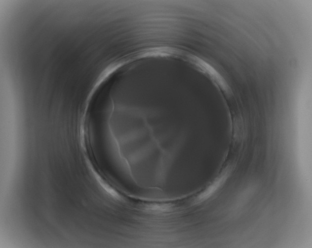 X0000113160802200909111013