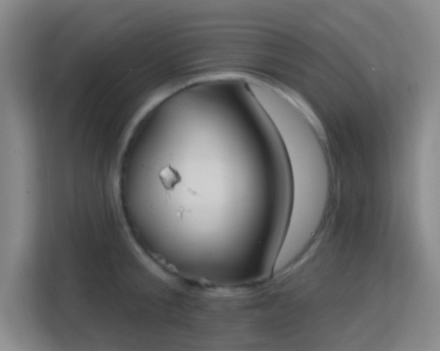 X0000113160805200909111013