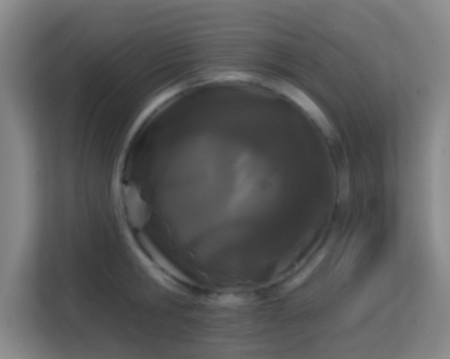 X0000113160806200909111013