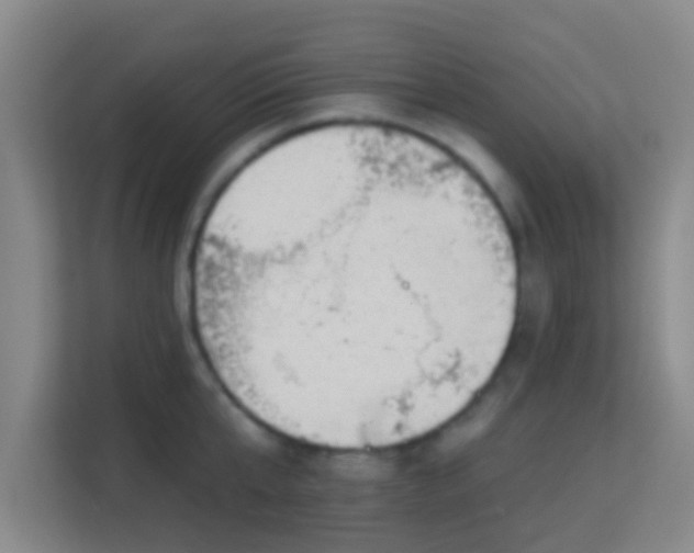 X0000113160807200909111013