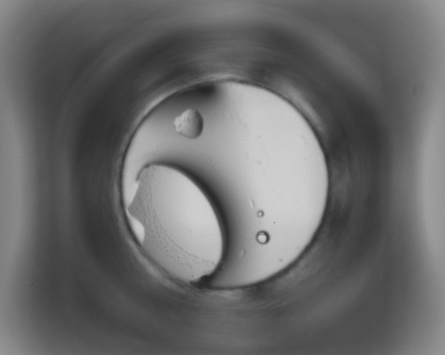 X0000113160810200909111013