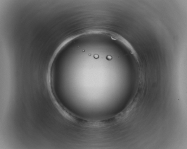 X0000113160811200909111013