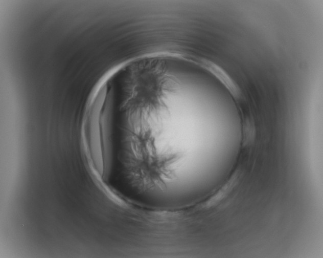 X0000113160812200909111013