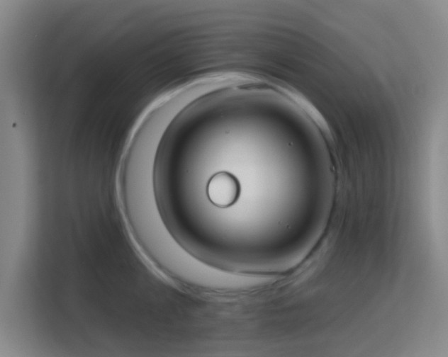 X0000113160813200909111013