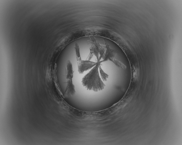 X0000113160819200909111012