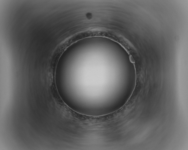 X0000113160821200909111012