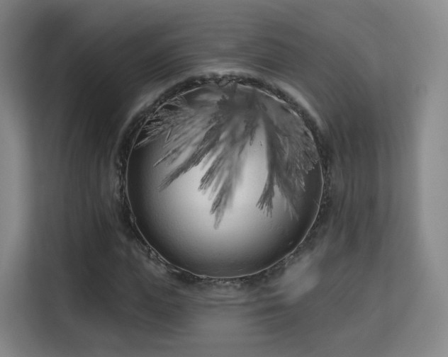 X0000113160823200909111012