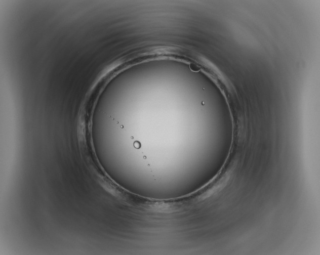 X0000113160827200909111013