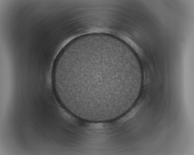 X0000113160828200909111013