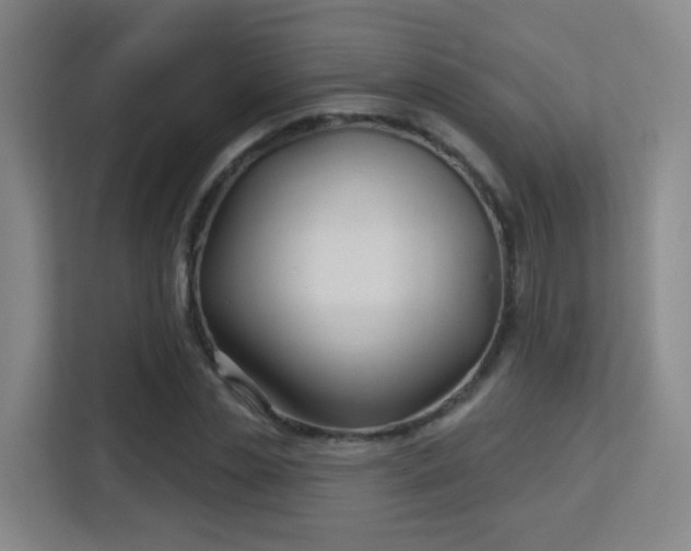 X0000113160829200909111013