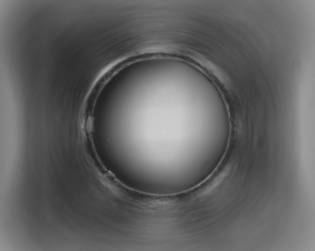 X0000113160830200909111013