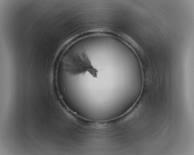 X0000113160831200909111013