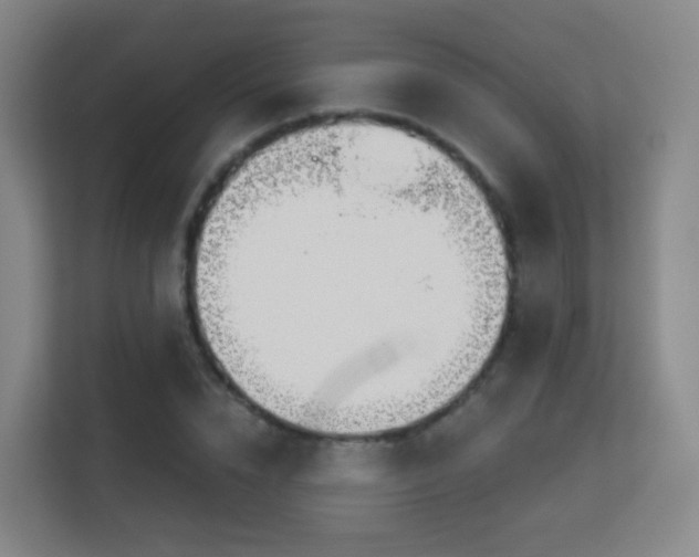 X0000113160832200909111013