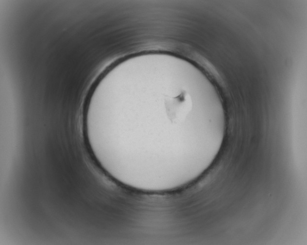 X0000113160836200909111013