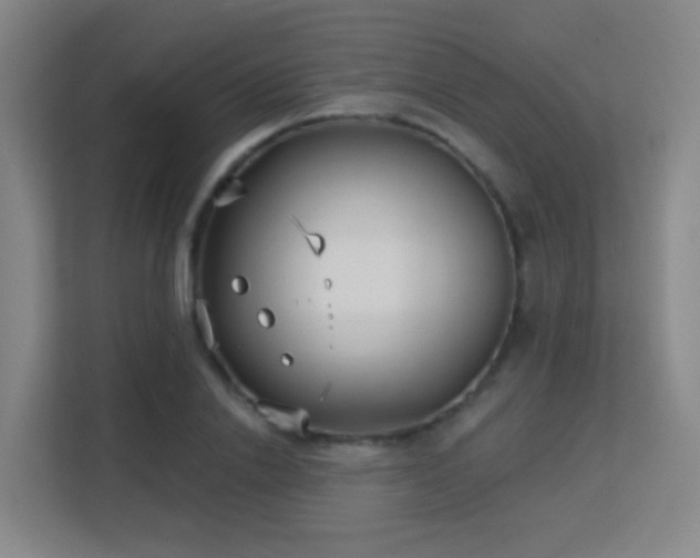 X0000113160838200909111013