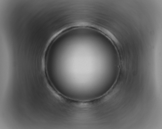 X0000113160839200909111013