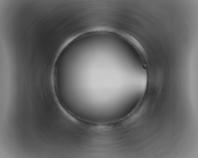 X0000113160847200909111013