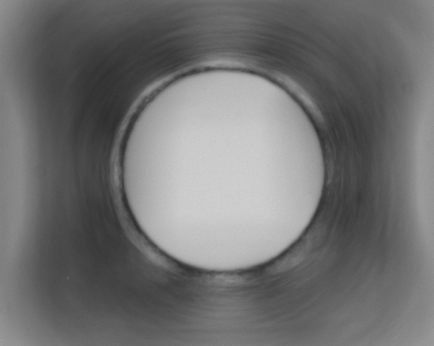 X0000113160848200909111013